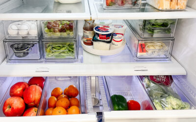 Easter Ready: Thermador Fridge Repair Guide